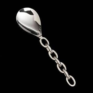 NEW INSPIRED GENERATIONS linky serving spoon in silver
